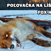 Ulovenie lišiaka