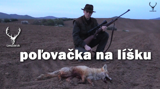 poľovačka na líšku