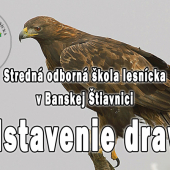 SOŠL BŠ predstavenie dravcov na súťaži Čo šepká les 2023
