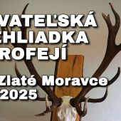 CHOVATEĽSKÁ PREHLIADKA TROFEJÍ OPK Zlaté Moravce 2024/2025