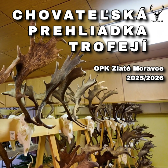 CHOVATEĽSKÁ PREHLIADKA TROFEJÍ OPK Zlaté Moravce 2025/2026