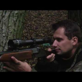 poľovačka na diviaky | wild boar hunting