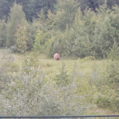 No konečne