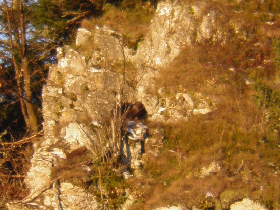 KAMZIKY NA DOLNOM LIPTOVE