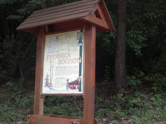 Polovacka na muflonku