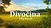 Divočina (2019) - Filip Násaly