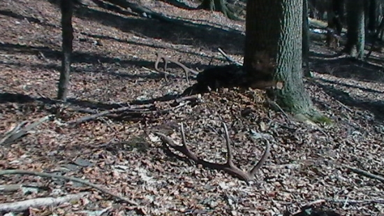 nájdenie zhodov - krátky záber