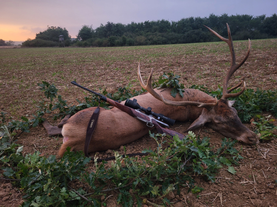 Posledná pocta kráľovi