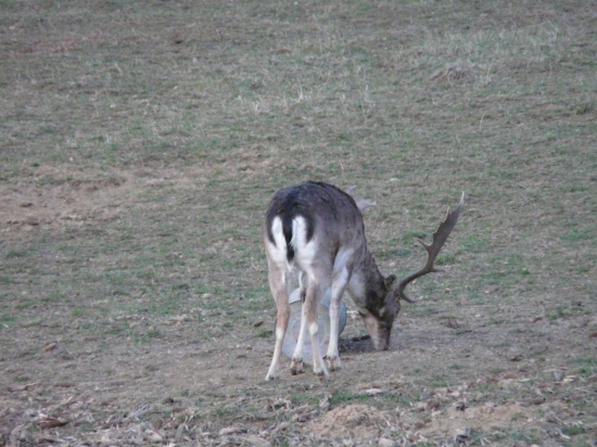 Večerná čekaná....
