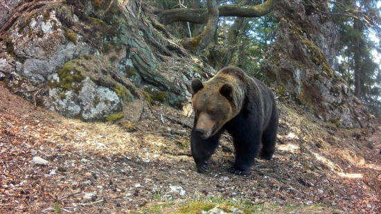 Jar medzi skalami 2023 (Fotopasca Veľká Fatra)
