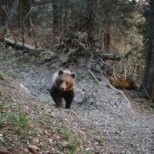 Od apríla do októbra na kalisku (Fotopasca Veľká Fatra)