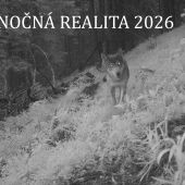 Nočná realita 2026 (Fotopasca Veľká a Malá Fatra)