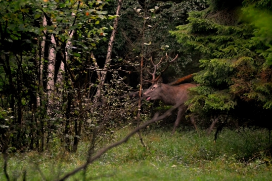 keď človek nevie kam skôr