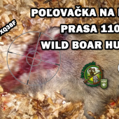 Poľovačka na prasiatko