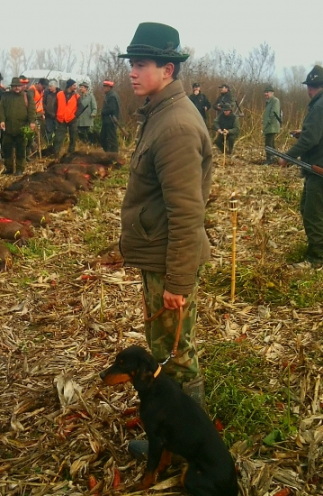 Praca dobrych psikov