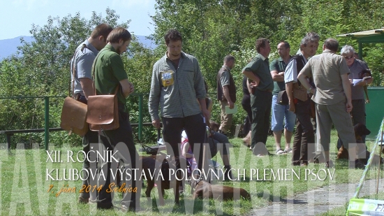 Klubová výstava poľovných plemien psov 2014 Sielnica