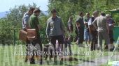 Klubová výstava poľovných plemien psov 2014 Sielnica