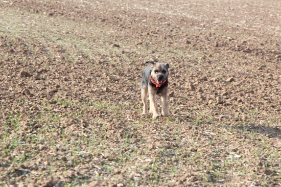 Chera H.K. a jej druha stopa s raticou