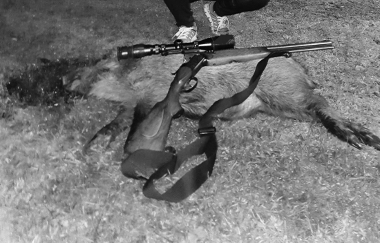 Keď  ti stačí  aj okienko