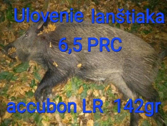 Lanštiaka vs 6,5 PRC accubond LR 142gr
