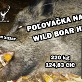 Poľovačka na kanca