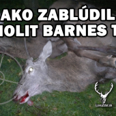 Ak zablúdil monolit Barnes TTSX