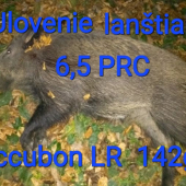 Lanštiaka vs 6,5 PRC accubond LR 142gr