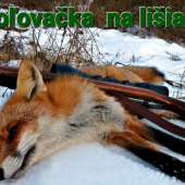 Ulovenie  lišiaka