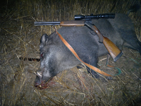 Poľovačka na kanca