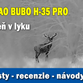 Jeleň v lyku