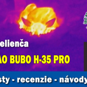 Spiace jelienča