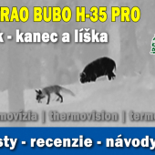 Diviak  a líška