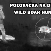 Poľovačka na diviaka
