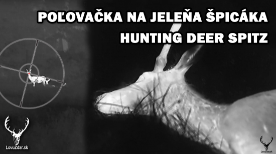 Ulovenie  jeleňa