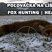 Ulovenie lišiaka