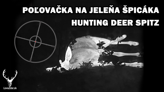 Ulovenie jeleňa