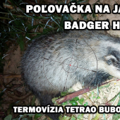Poľovačka na jazveca