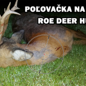 Ulovenie srnca
