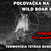 zásah do srdca Norma Bonstrike
