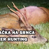 Ulovenie srnca
