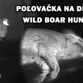 Poľovačka na diviaka