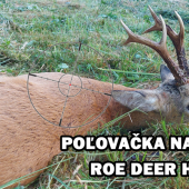 Srnec na pískanie