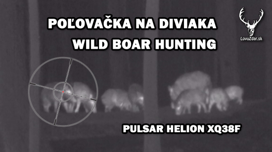 Poľovačka na diviaka