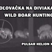 Poľovačka na diviaka