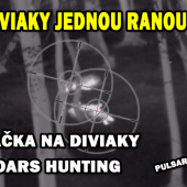 Dva diviaky jeden výstrel?