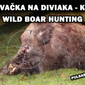 Ulovenie kanca