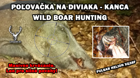 Keď spoza stromu trčí  len hlava