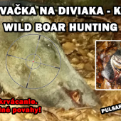 Keď spoza stromu trčí  len hlava