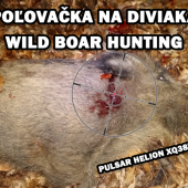 Poľovačka na diviaka