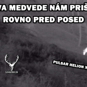 Medzi medveďmi